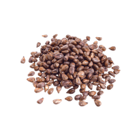 Grapeseed