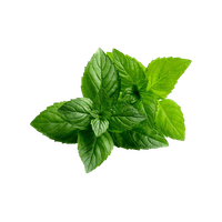 Peppermint