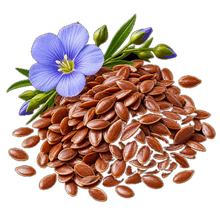 Flaxseed, a plant source of omega-3 ALA