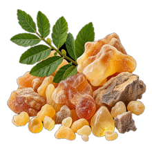 Boswellia