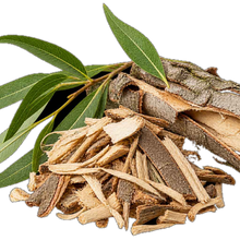 White willow bark and leaves